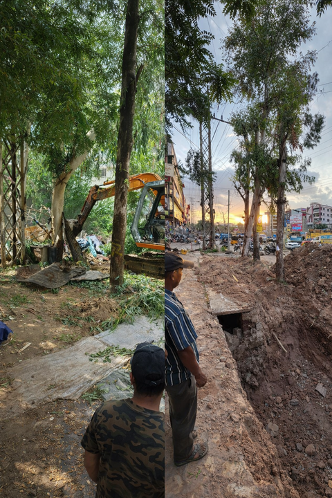 350+ trees at risk as Hyderabad plans six-lane Allwyn-Miyapur flyover