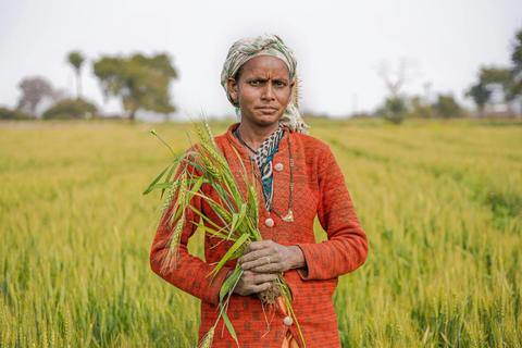 #dailymattrwrites Women have always farmed. So why did the system need a law to recognise them?