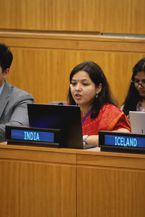 India urges fairness and transparency in UN human rights mechanisms