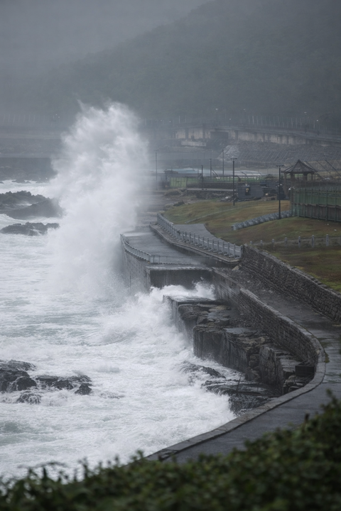 Taiwan counts the toll as Typhoon Champi leaves one dead, 500 hurt