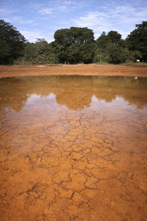 El Niño's record heat: Pacific warming fuels drought and flooding worldwide