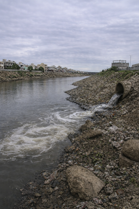Godavari, Krishna rivers see over 1,600% spike in sewage contamination