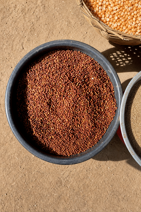 Telangana exports GI-tagged Tandur red gram to Australia for first time