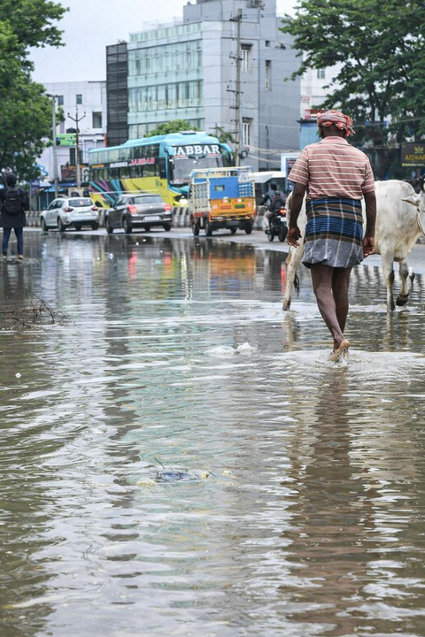 Heavy rain hits Tamil Nadu, four towns record over 100 mm rainfall