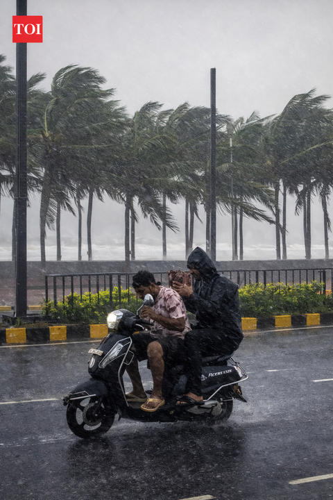 Cyclone Arnab hits Andhra coast, uproots trees and disrupts power supply