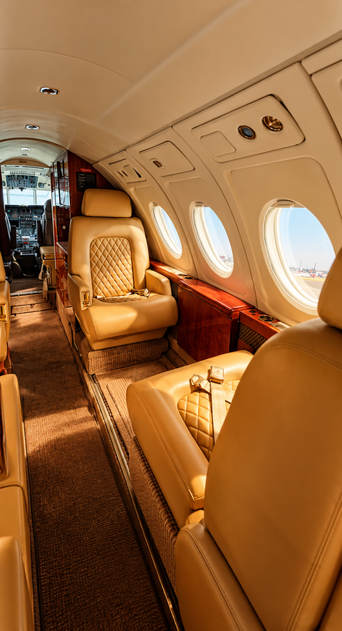 India leads Asia-Pacific business jet growth with nearly 295 aircraft