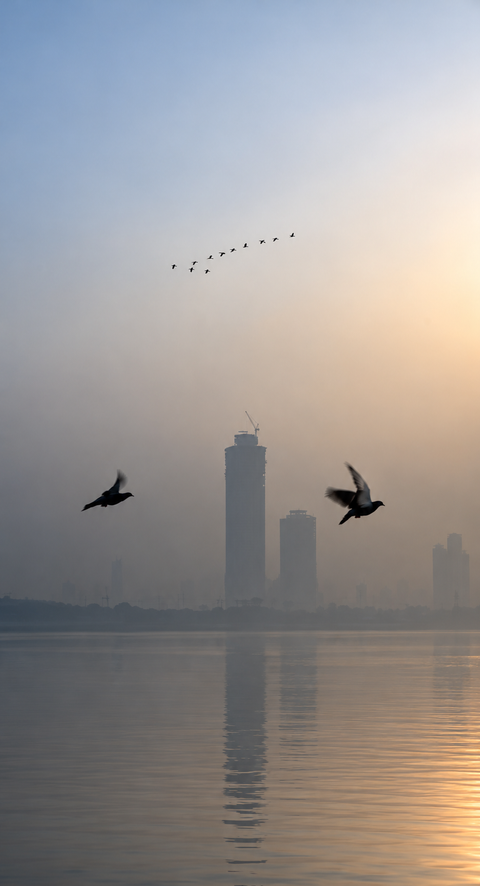 Delhi's AQI crosses 300 despite GRAP restrictions, falls into 'very poor' category