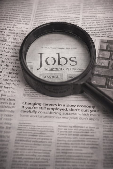 India's September hiring grows 2% as AI and machine learning jobs surge 20%
