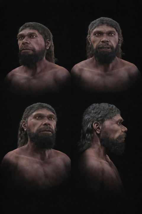 Scientists reconstructed face of 315,000-year-old Homo sapiens looks remarkably familiar