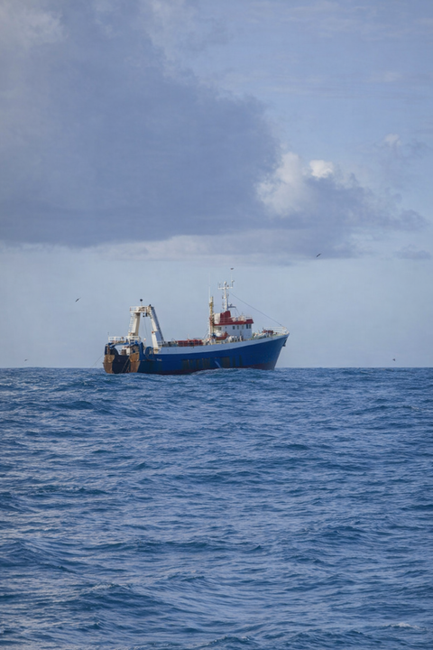 Deep-sea fishing gets government push through national workshop and stakeholder engagement