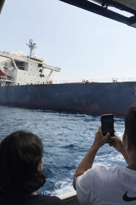 Container ship sinks near Strait of Hormuz after projectile hit