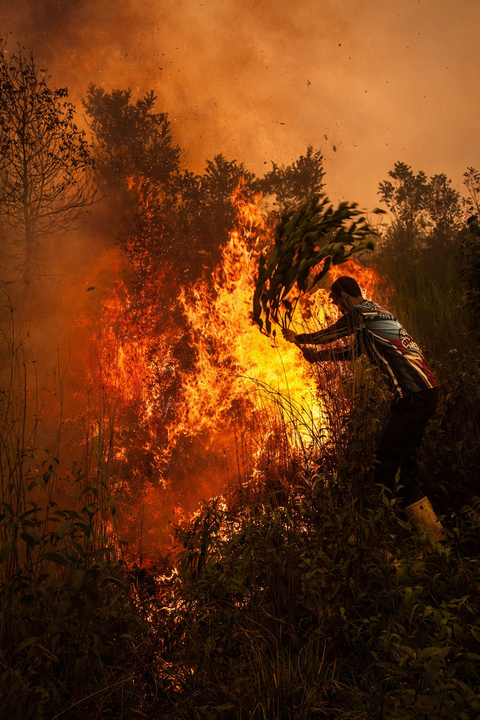 Indonesia’s worst wildfires in a decade threaten the world’s oldest rock art