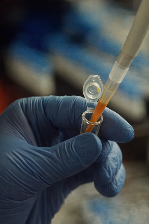 Anthropic says Claude AI helped discover a new enzyme system hidden in DNA