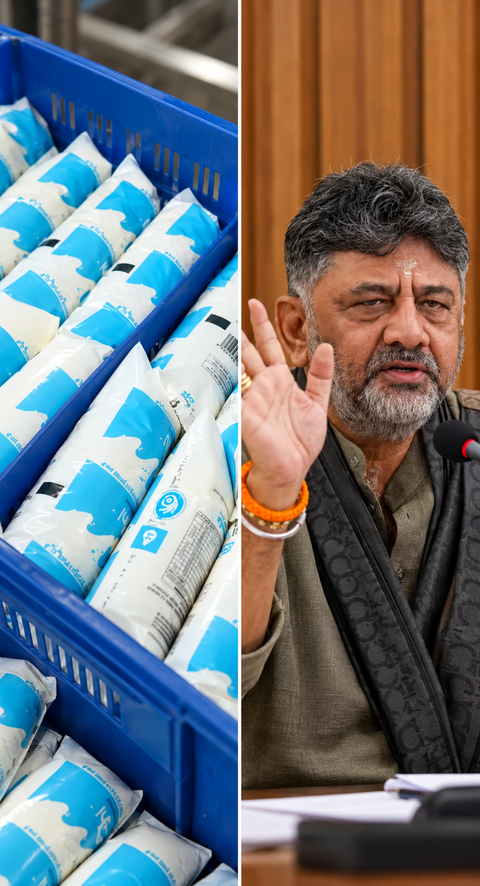 Karnataka hikes Nandini milk price by Rs 8 per litre from November 1
