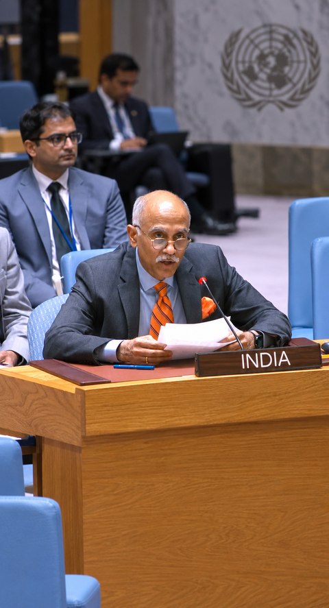 India says all permanent UN Security Council members must have veto power