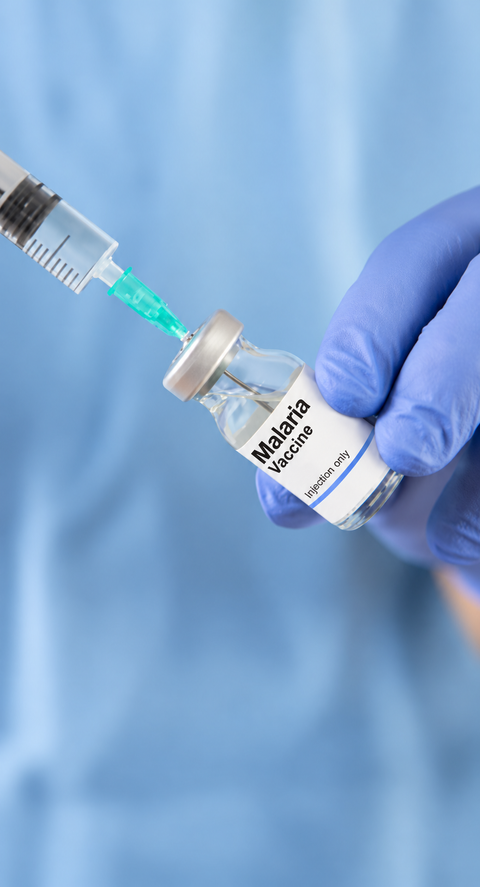 Bharat Biotech cuts Mosqivac vaccine price by 40% under Gavi, UNICEF deal