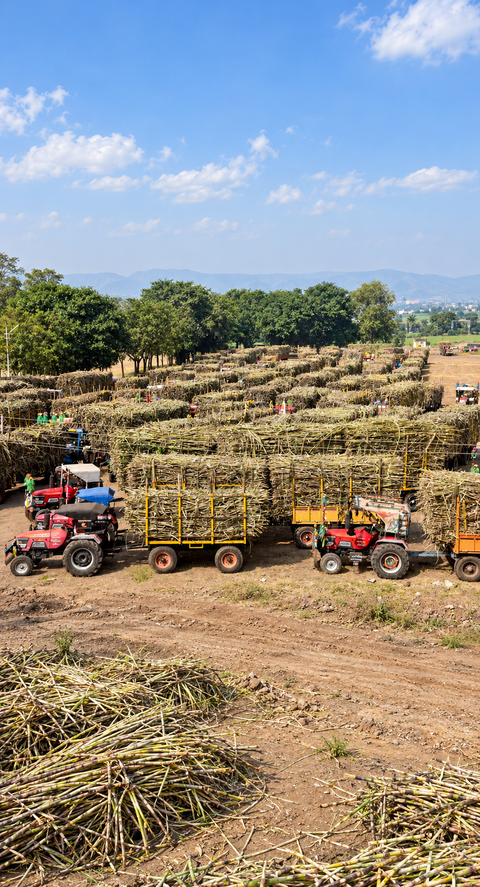 India bars sugarcane-based ethanol, orders zero sugar diversion