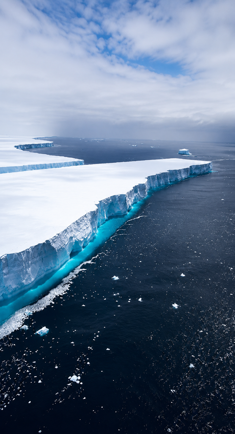 World’s largest iceberg A23a almost melts away after 40 years near Antarctica