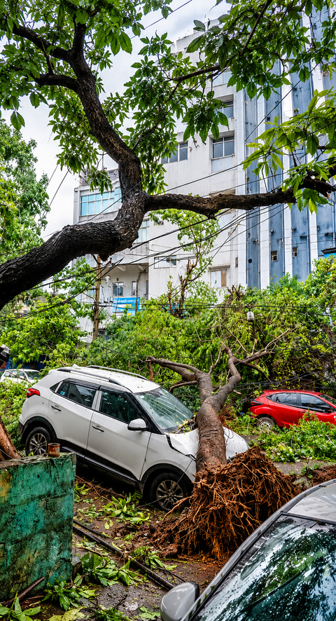Cyclone Arnab kills five in Andhra Pradesh, Telangana offers relief support