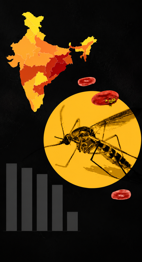 India is closer to eliminating malaria, but the last mile may be toughest
