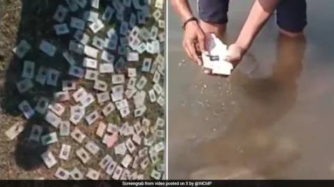 343 voter ID cards found abandoned on Narmada riverbank in Madhya Pradesh