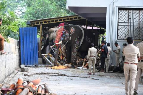 Dasara procession turns chaotic as elephant Somanna runs amok in Karnataka
