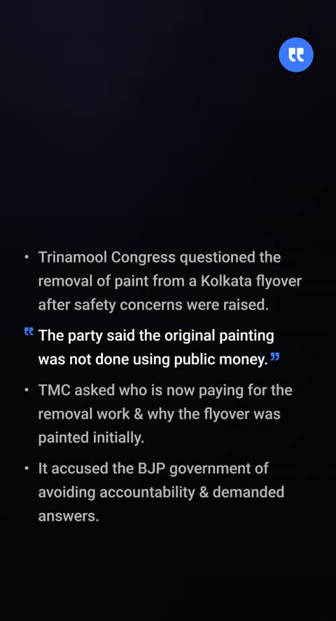 TMC questions flyover paint removal, asks who is paying for it